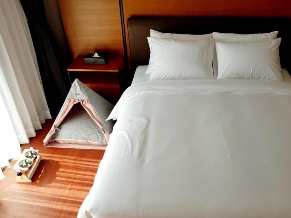 Seaside Arden Hotel Seogwipo Exterior photo